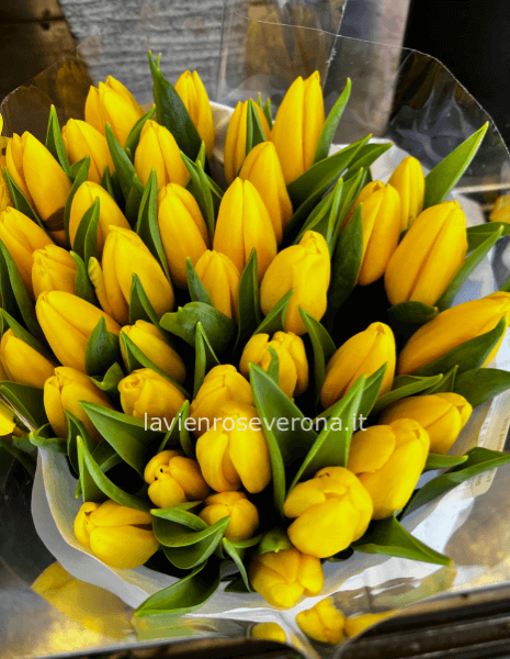 Bouquet di tulipani base