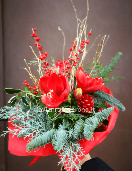 amaryllis and decoration