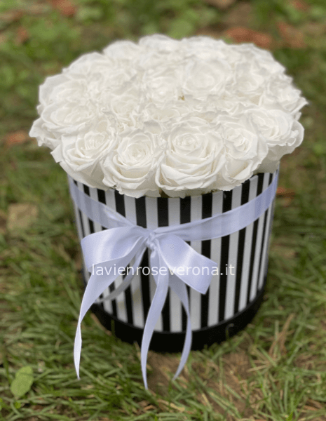 rose in scatola